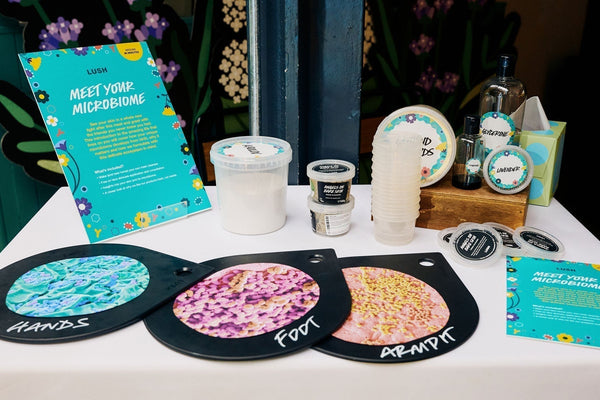 Nova sezona Lushevih delavnic