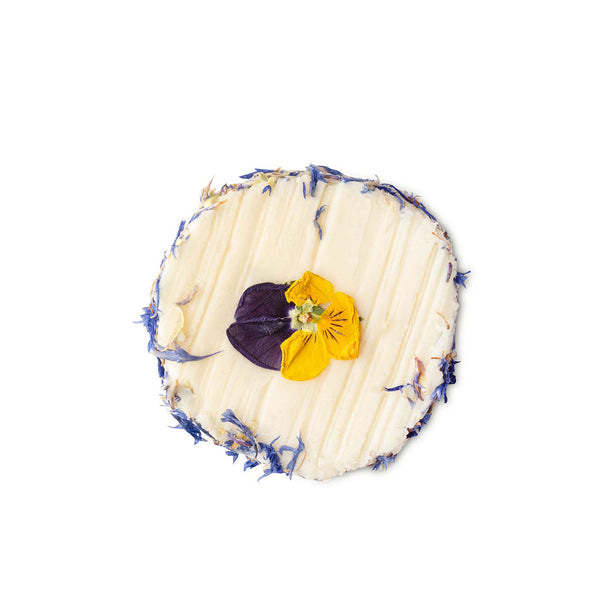 Daisy Daikon