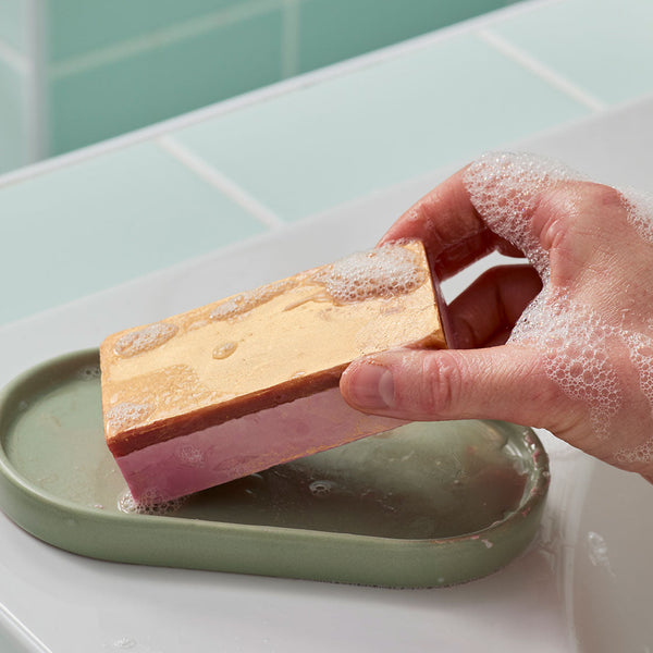 The Goose's Golden Egg